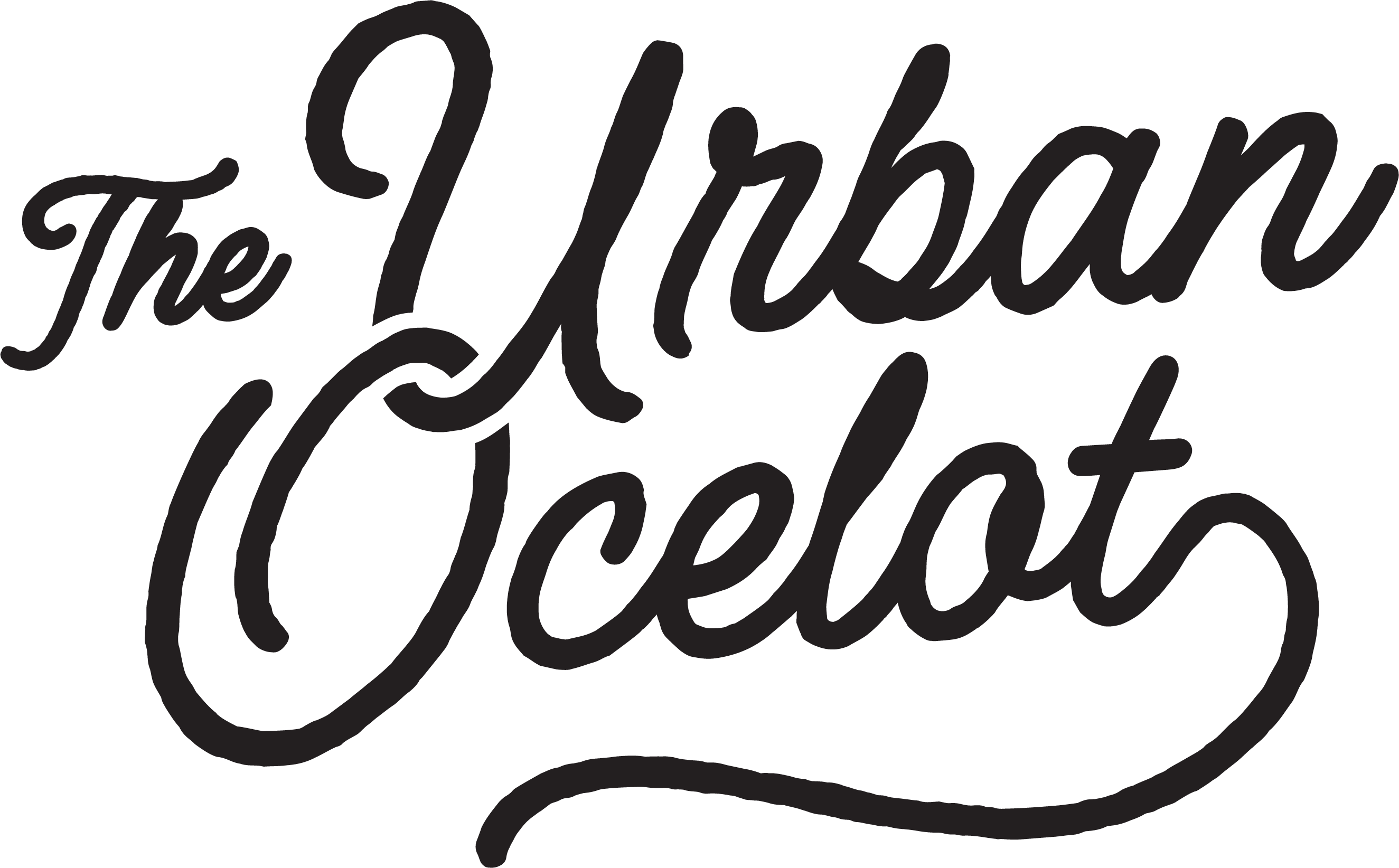 The Urban Ocelot