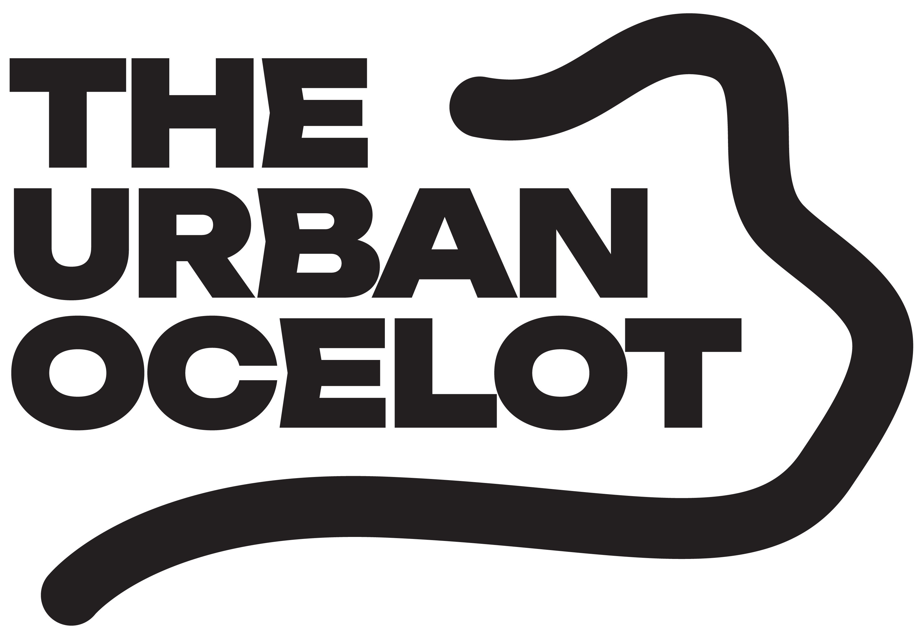 The Urban Ocelot